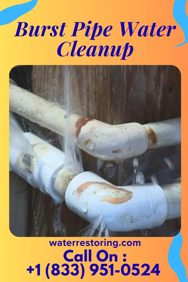 Burst Pipe Water Cleanup in Fair Plain, MI