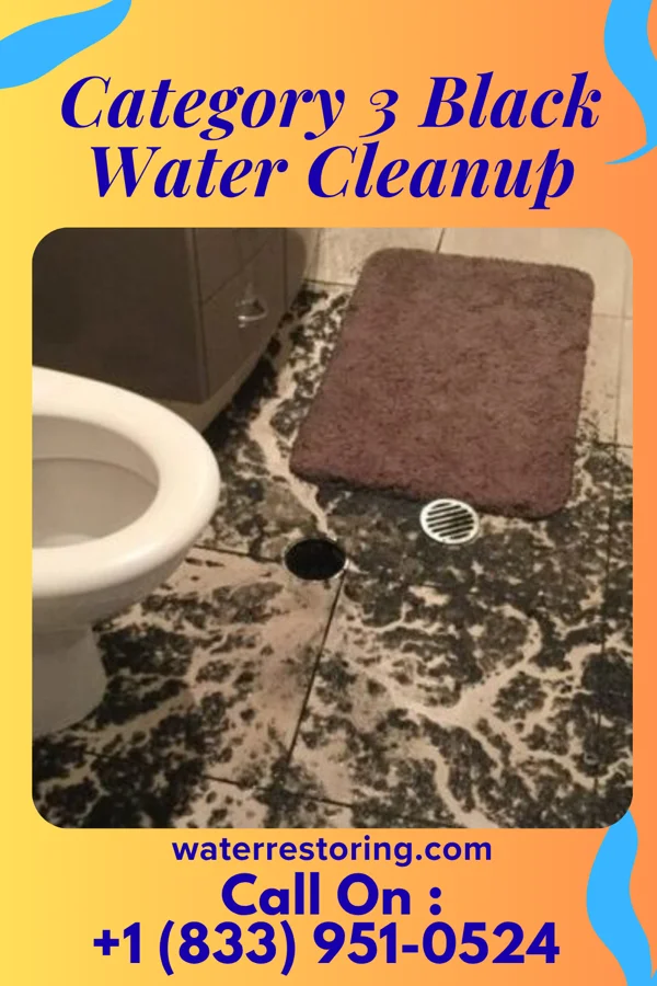 Category 3 Black Water Cleanup in Fair Plain, MI