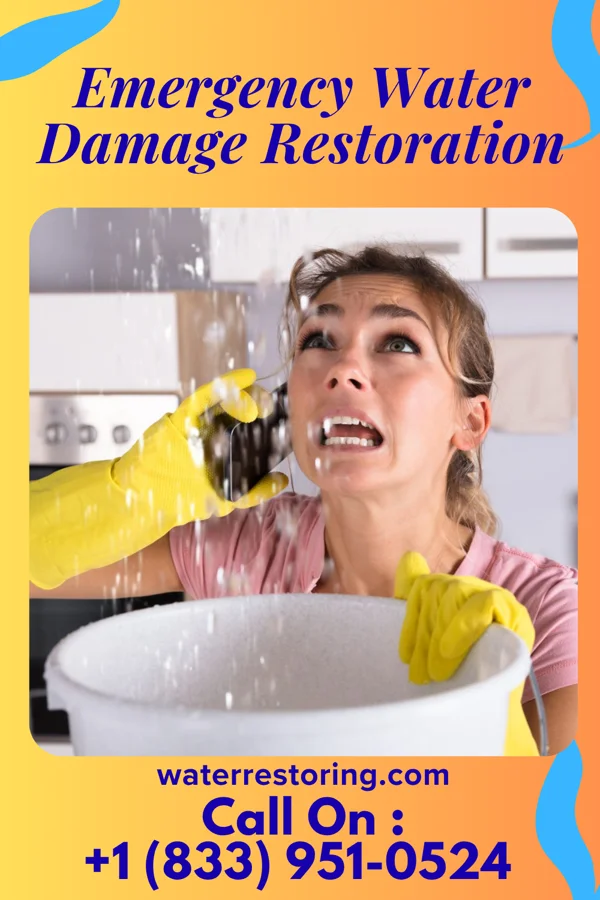 Emergency Water Damage Restoration in Fair Plain, MI