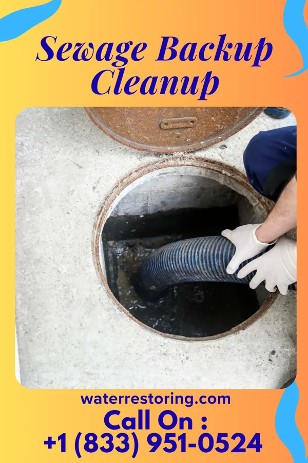 Sewage Backup Cleanup in Fair Plain, MI