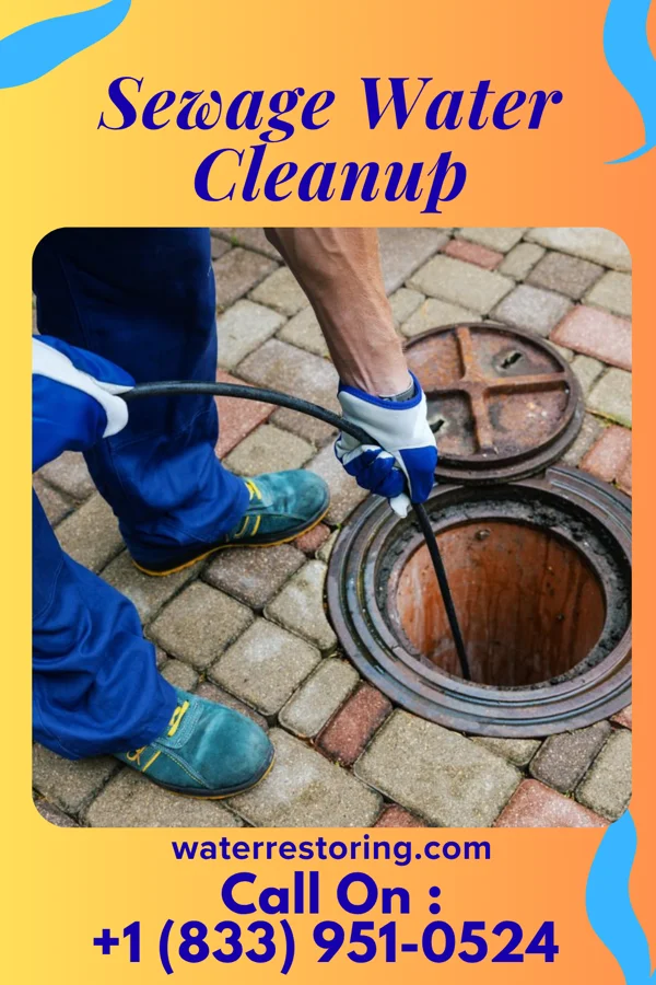 Sewage Water Cleanup in Fair Plain, MI