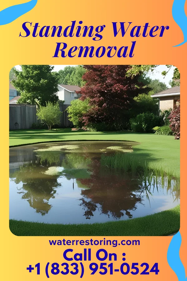 Standing Water Removal in Fair Plain, MI